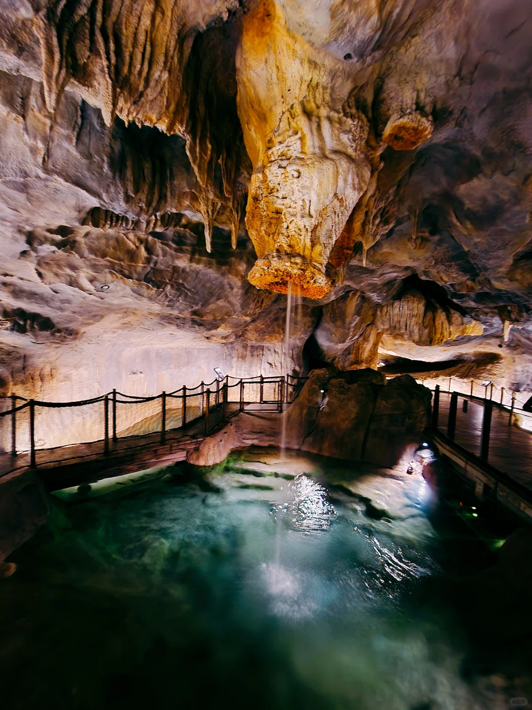 新加坡全新景点｜徒步探险！也太好拍了吧！