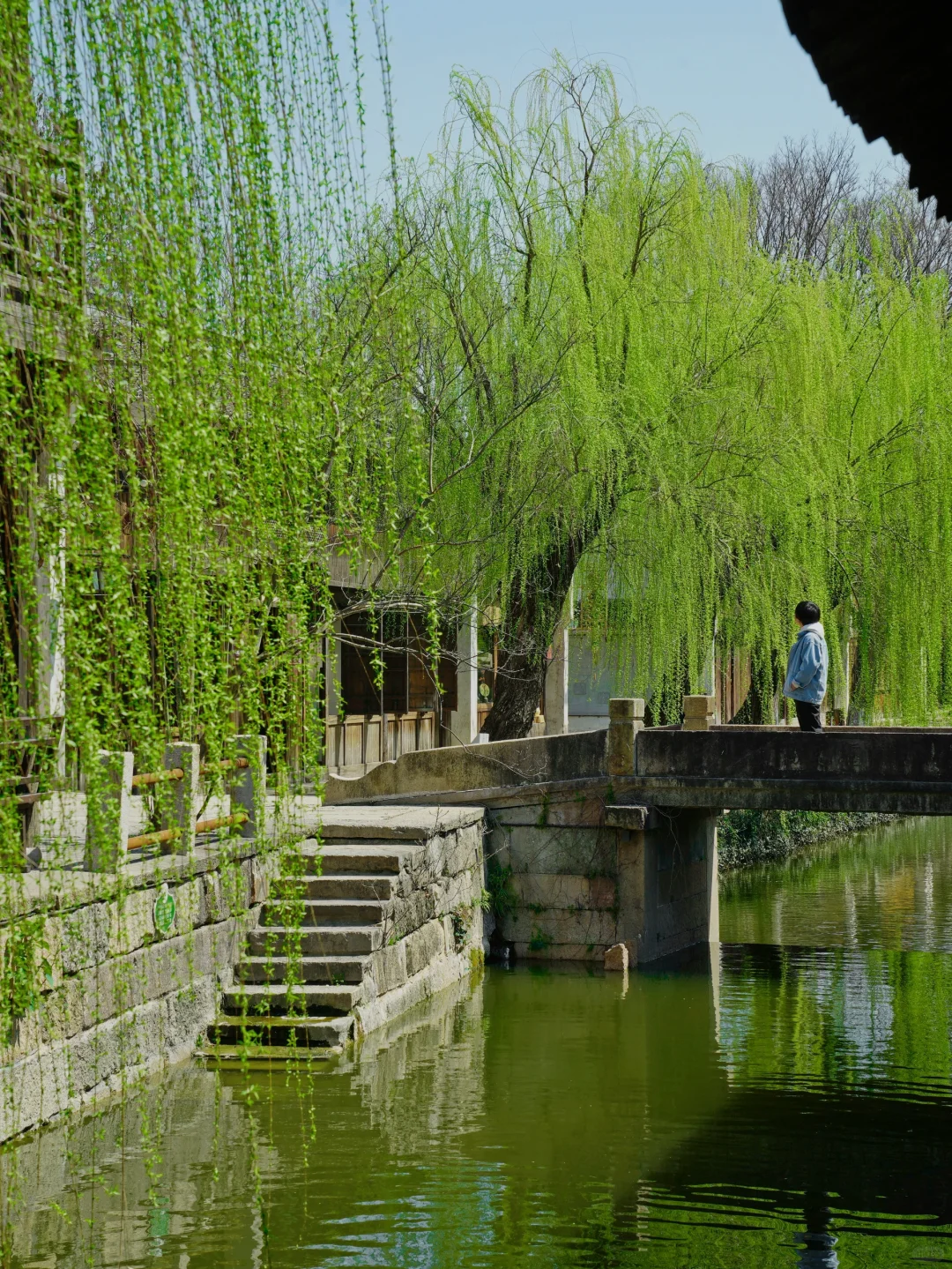 乾隆下江南4次的宝藏古城❗️春天两日游攻略