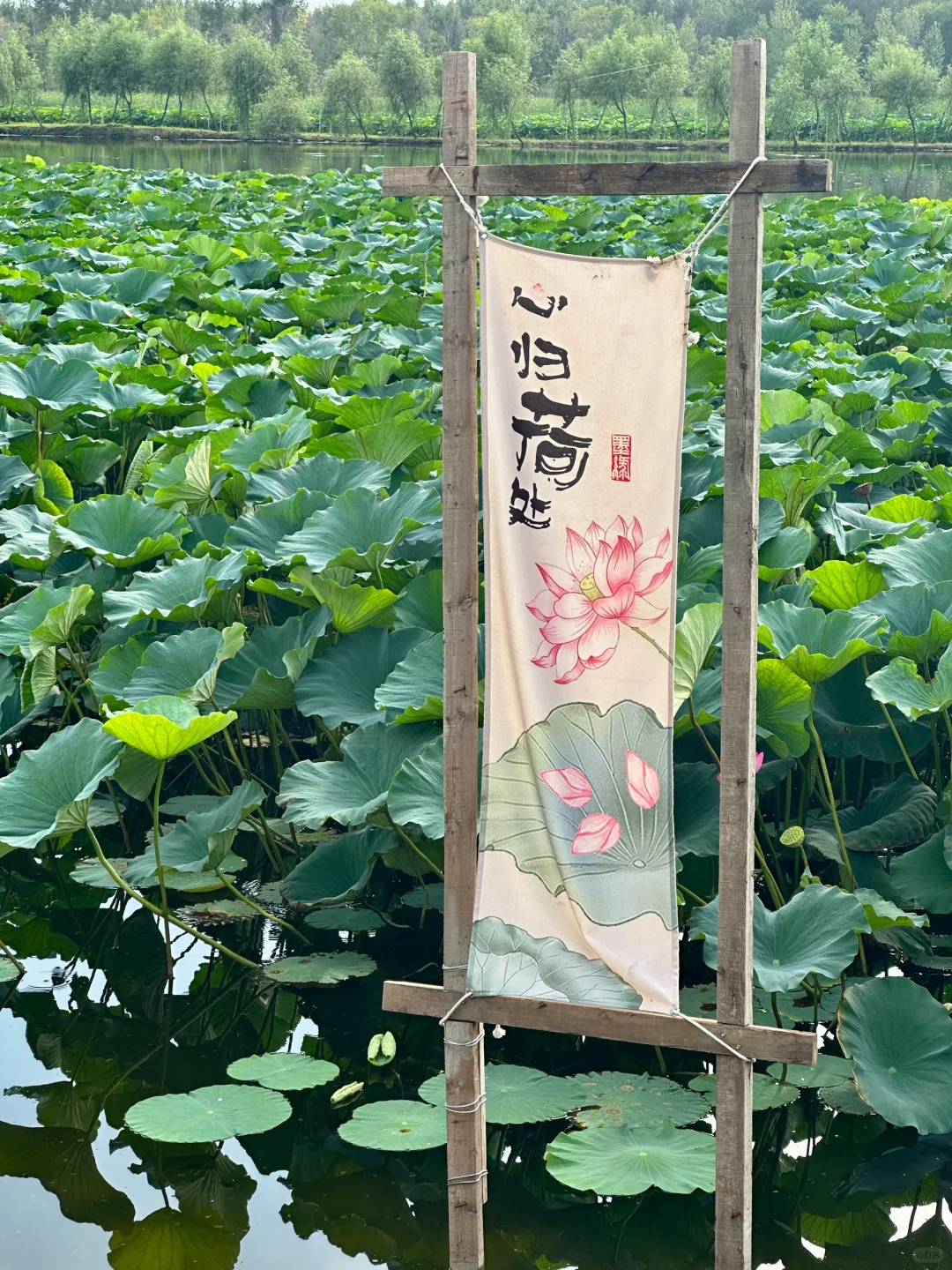 来阜新了 跟童话小镇似的