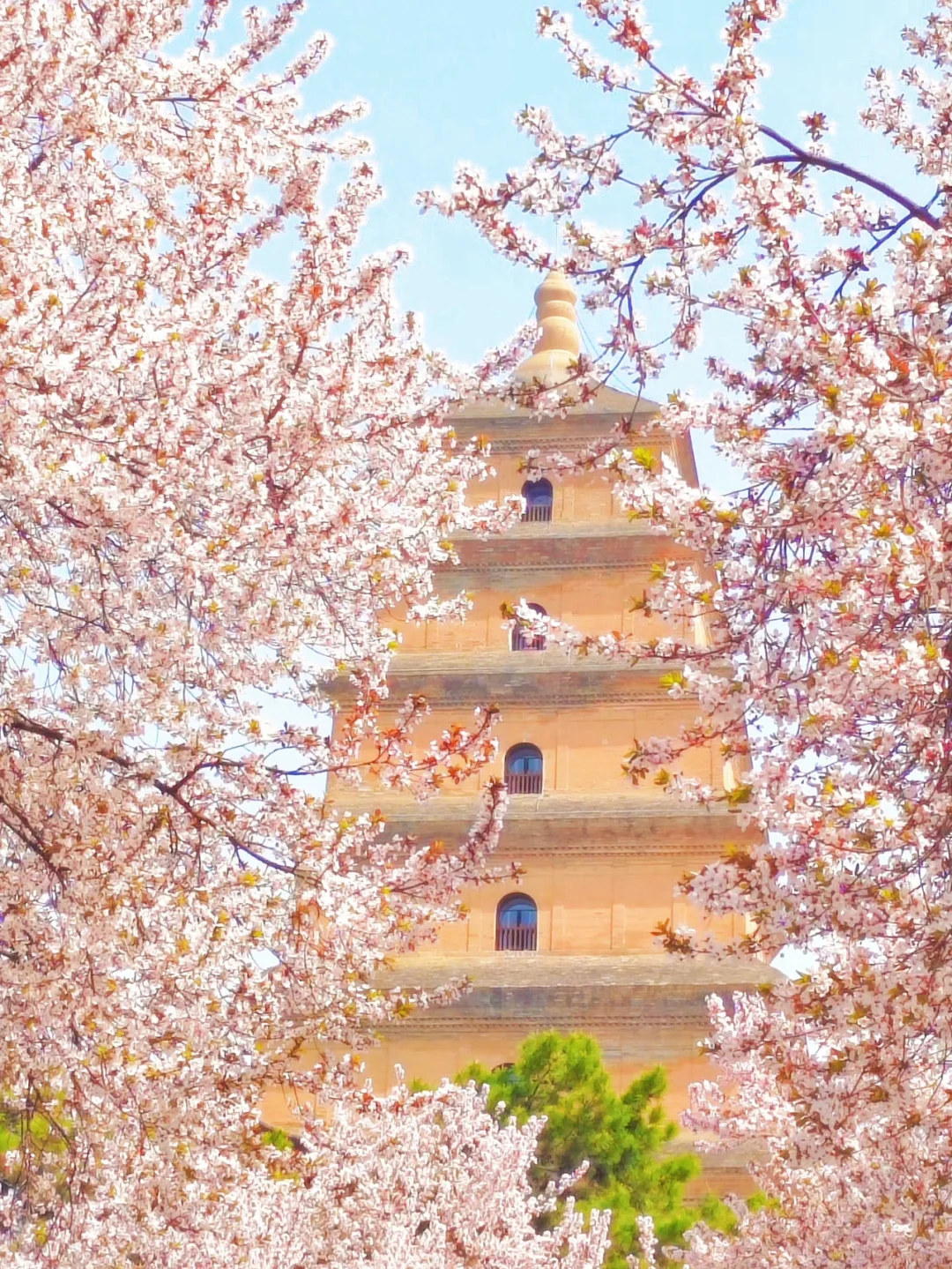 接下来！西安春天是这样的🌷含18个打卡地