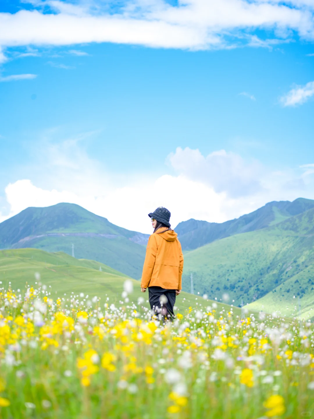 去了川西才知道！😅这些景点完全没必要去