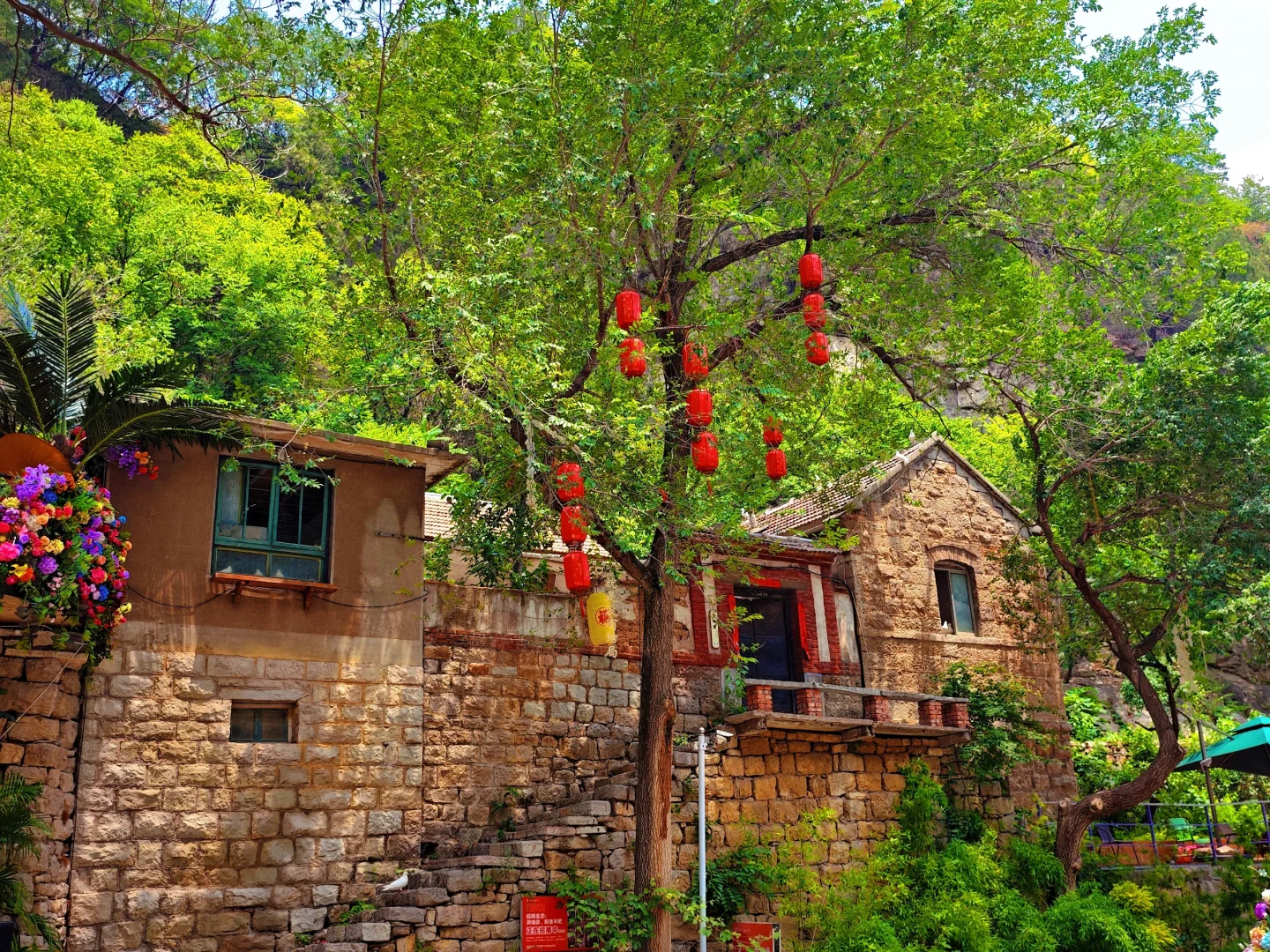 淄博，你不宣传这里糊涂啊🥳太美了