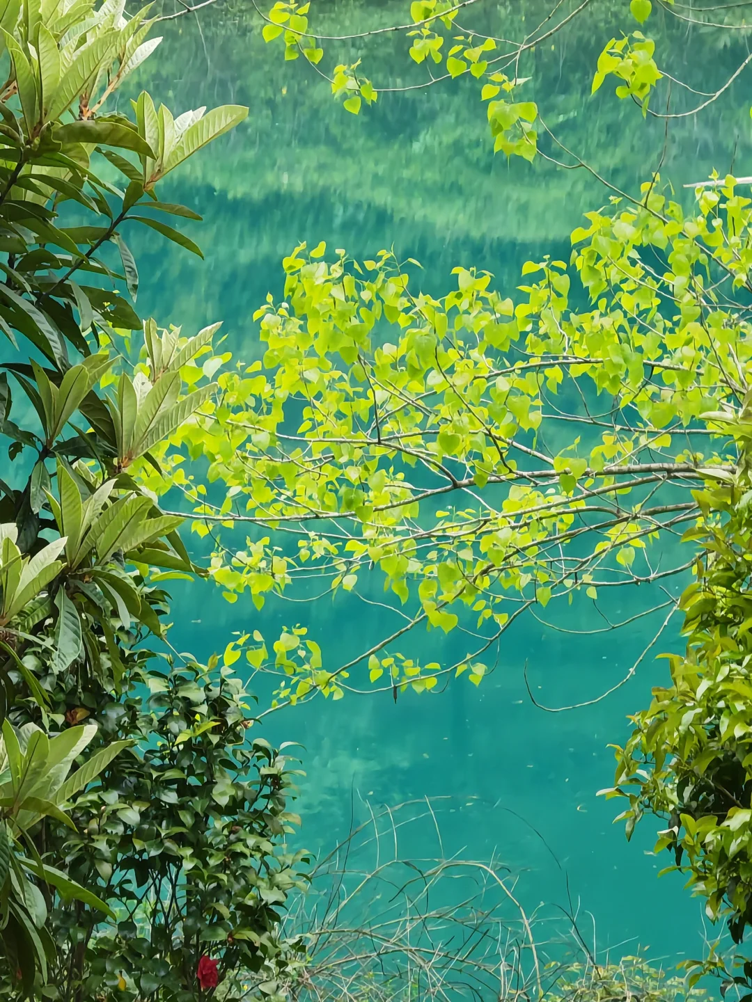 周末徒步|旺山亲子迷你环线，置身绿野仙踪