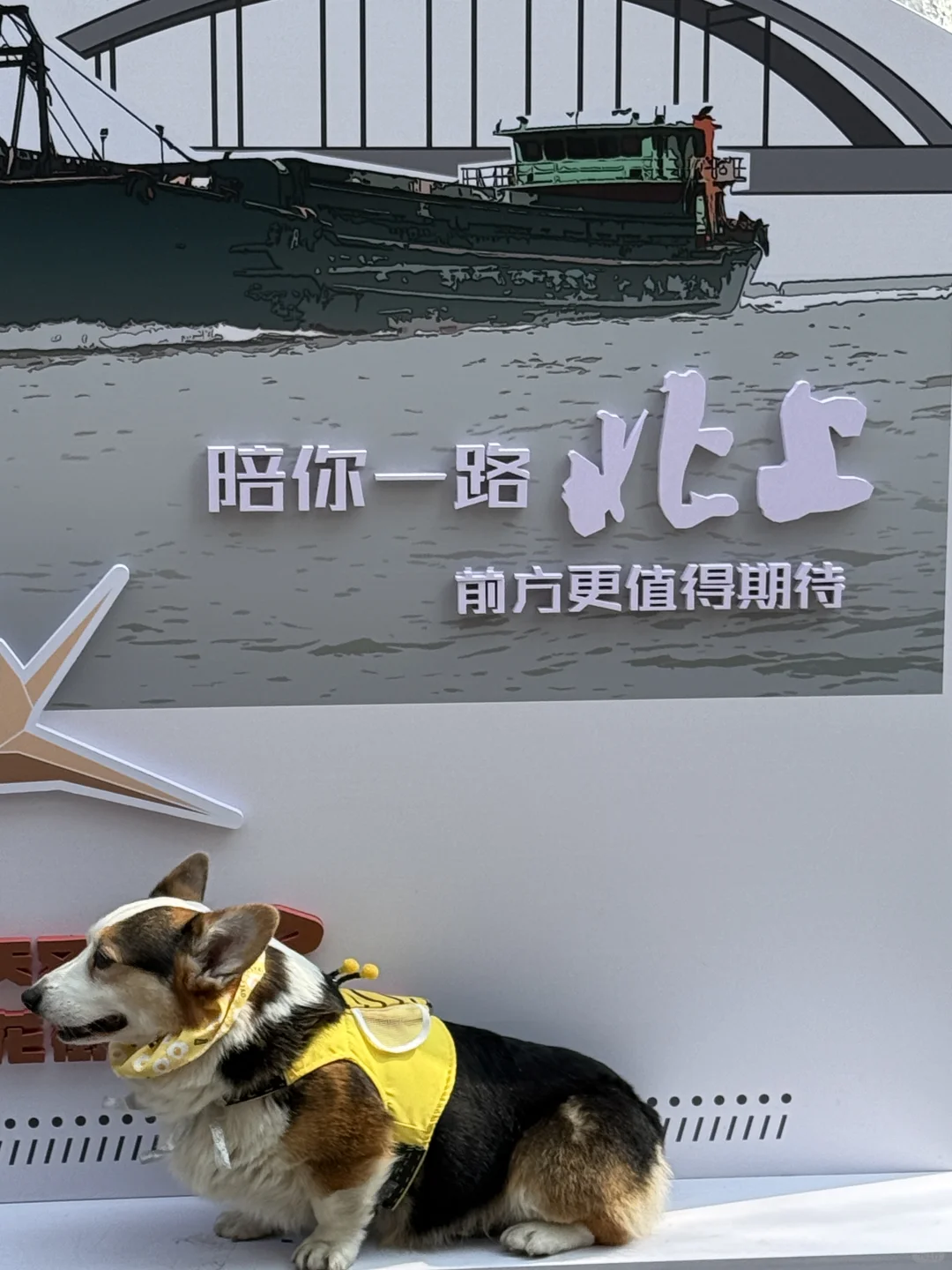 白鹿新剧《北上》取景地❗我先打卡啦