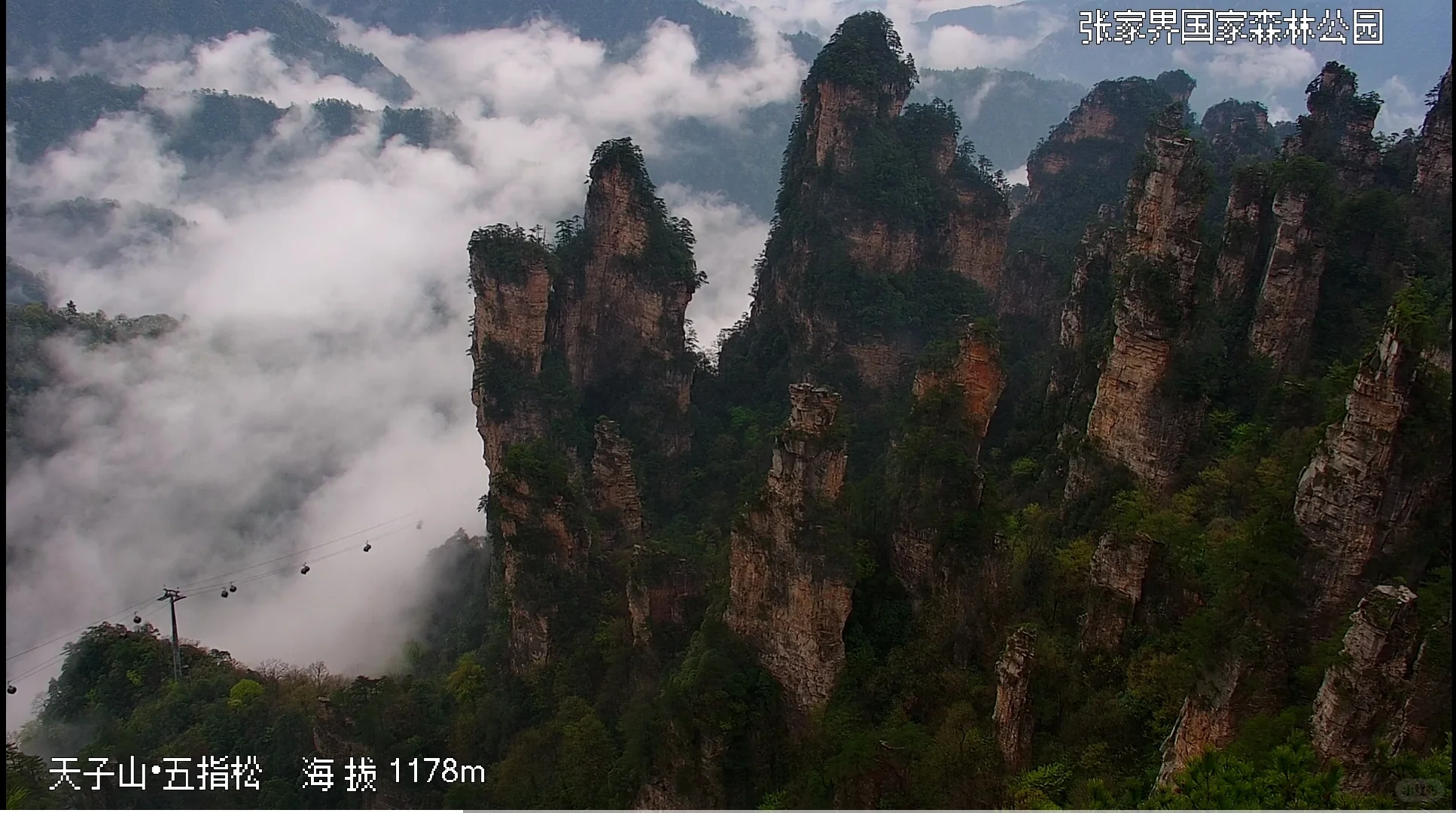 4月4号张家界景区实况