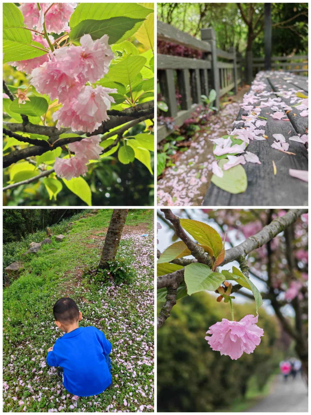 周末徒步|旺山亲子迷你环线，置身绿野仙踪