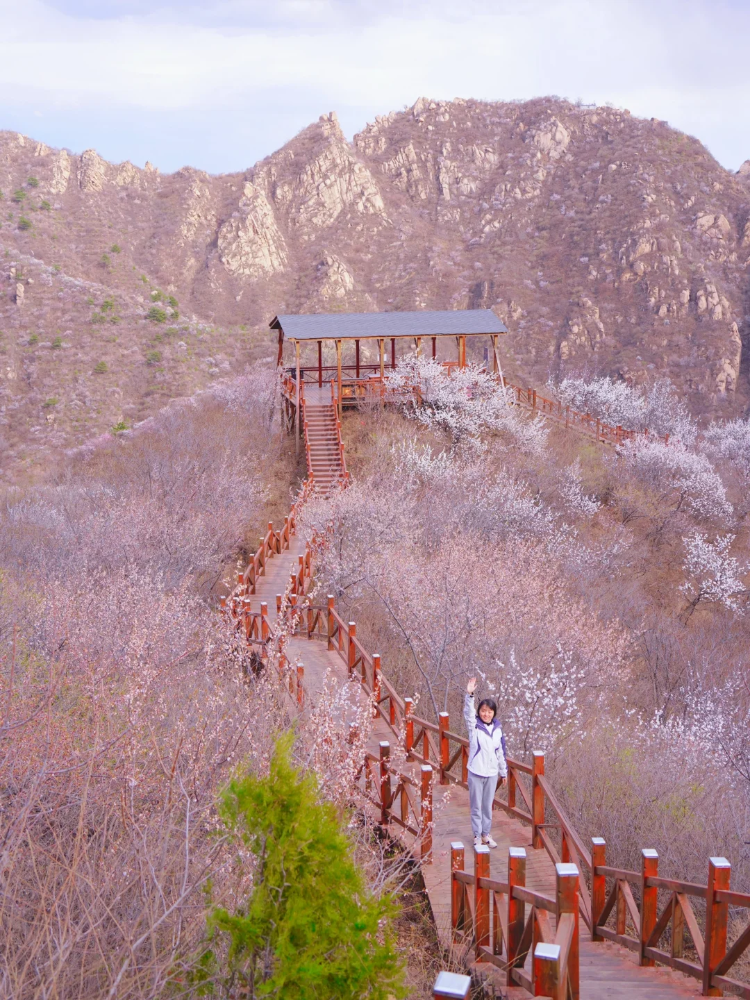 4.1实拍！京郊新开超美赏花栈道，附攻略