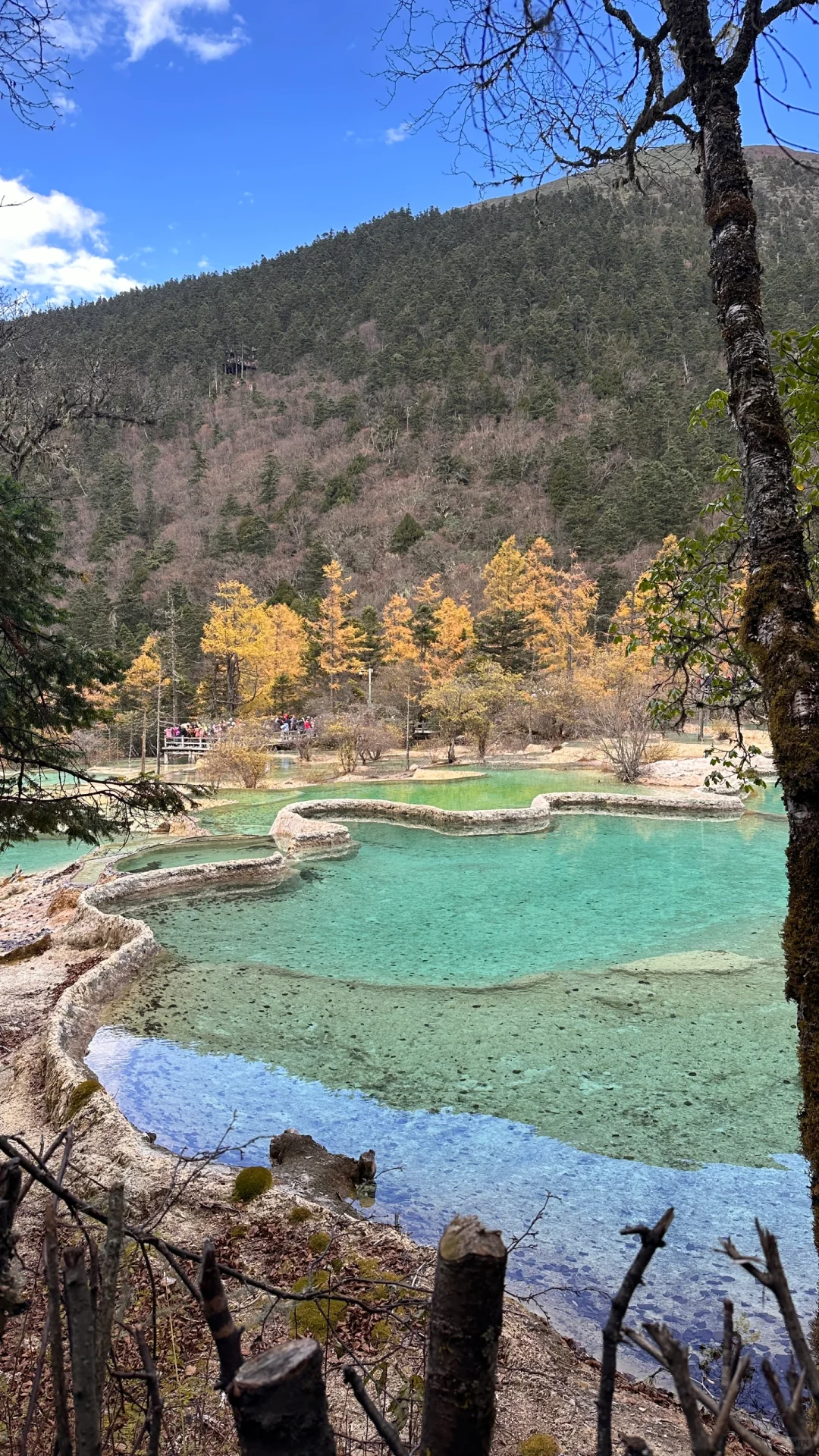 🇨🇳九寨黄龙景区🧎🏻‍♂️‍➡️已老实，别来！