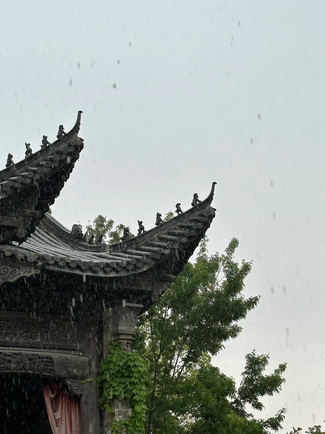 阜阳📍溜达好去处～