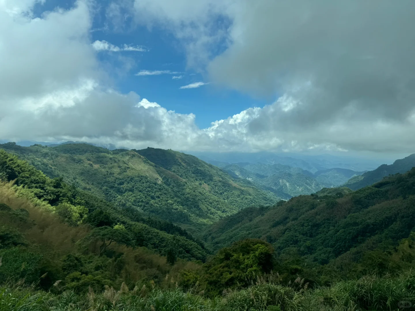 阿里山｜女生独行当日往返｜交通、景点、装备