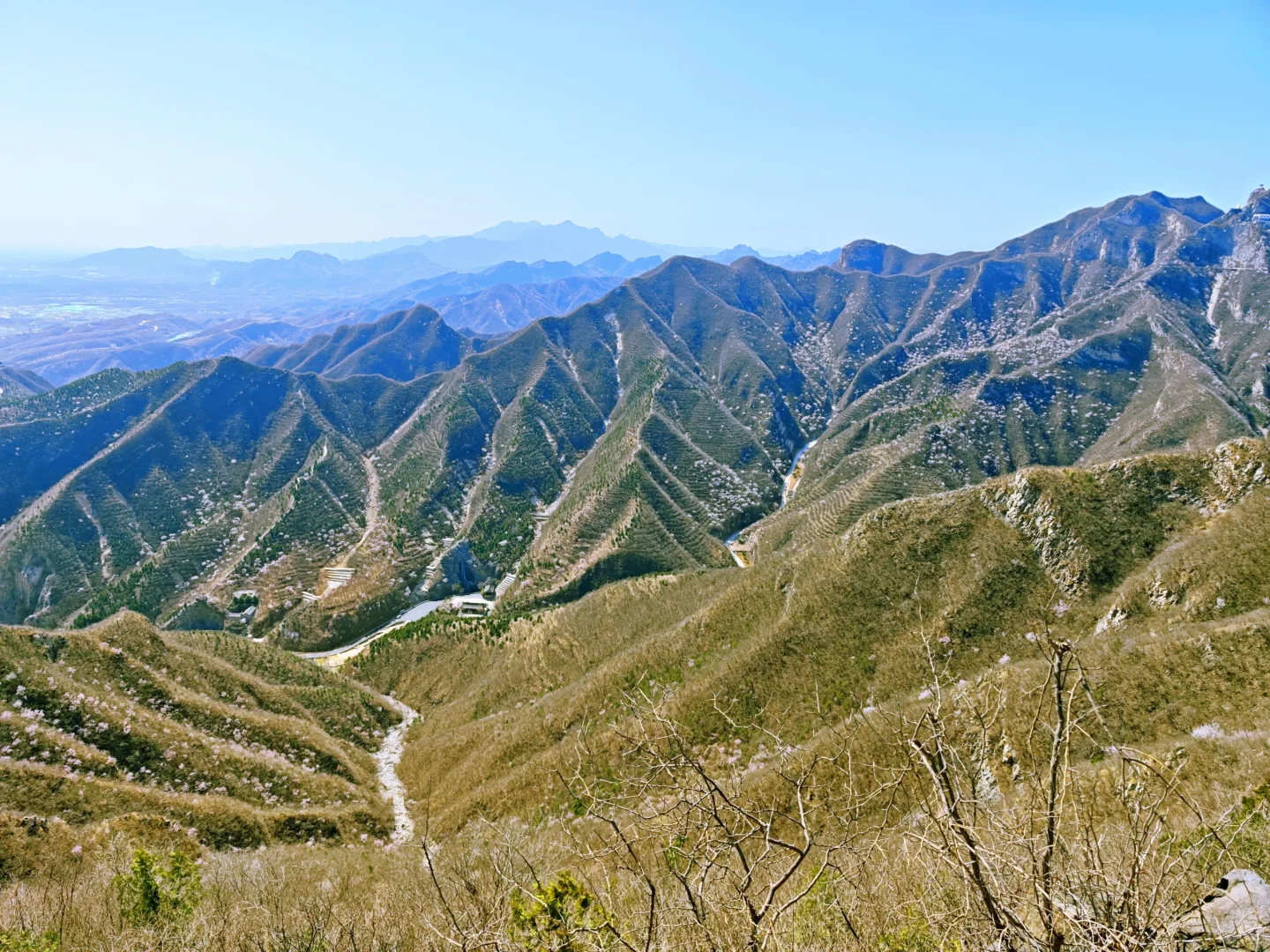 🌸京郊桃花秘境粉色暴击！戒台寺步道