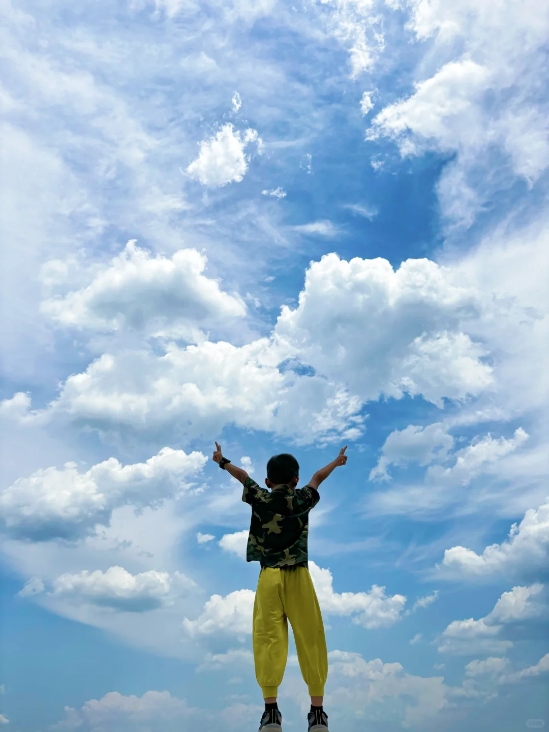 陕西被低估的景区❗丛林过山车🎢森林大滑梯