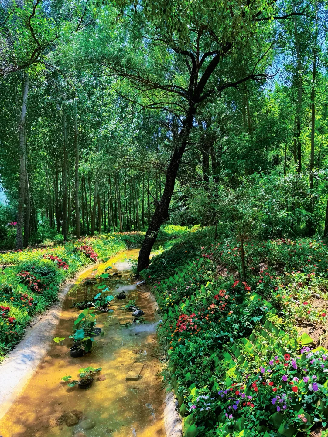 这么近那么美 周末到河北 邢台抱香谷等你来