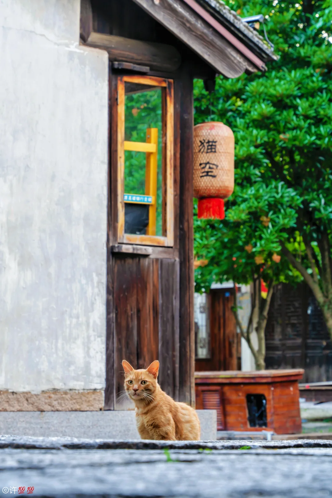 打卡湖州 | 南浔古镇的美,真的不难寻