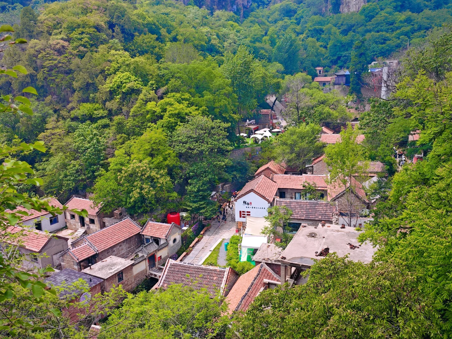 淄博，你不宣传这里糊涂啊🥳太美了