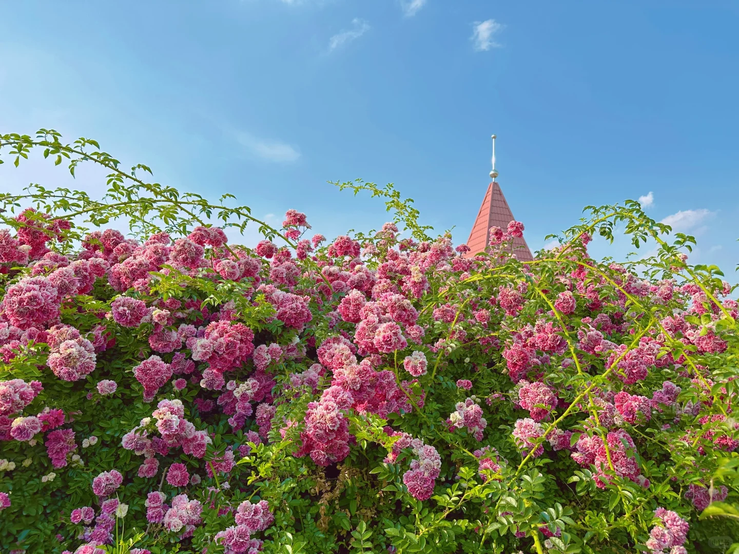 阜阳📍溜达好去处～