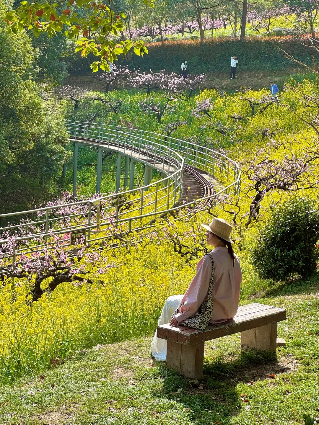 杭州出发1小时，坐上开往春天的花海小火车