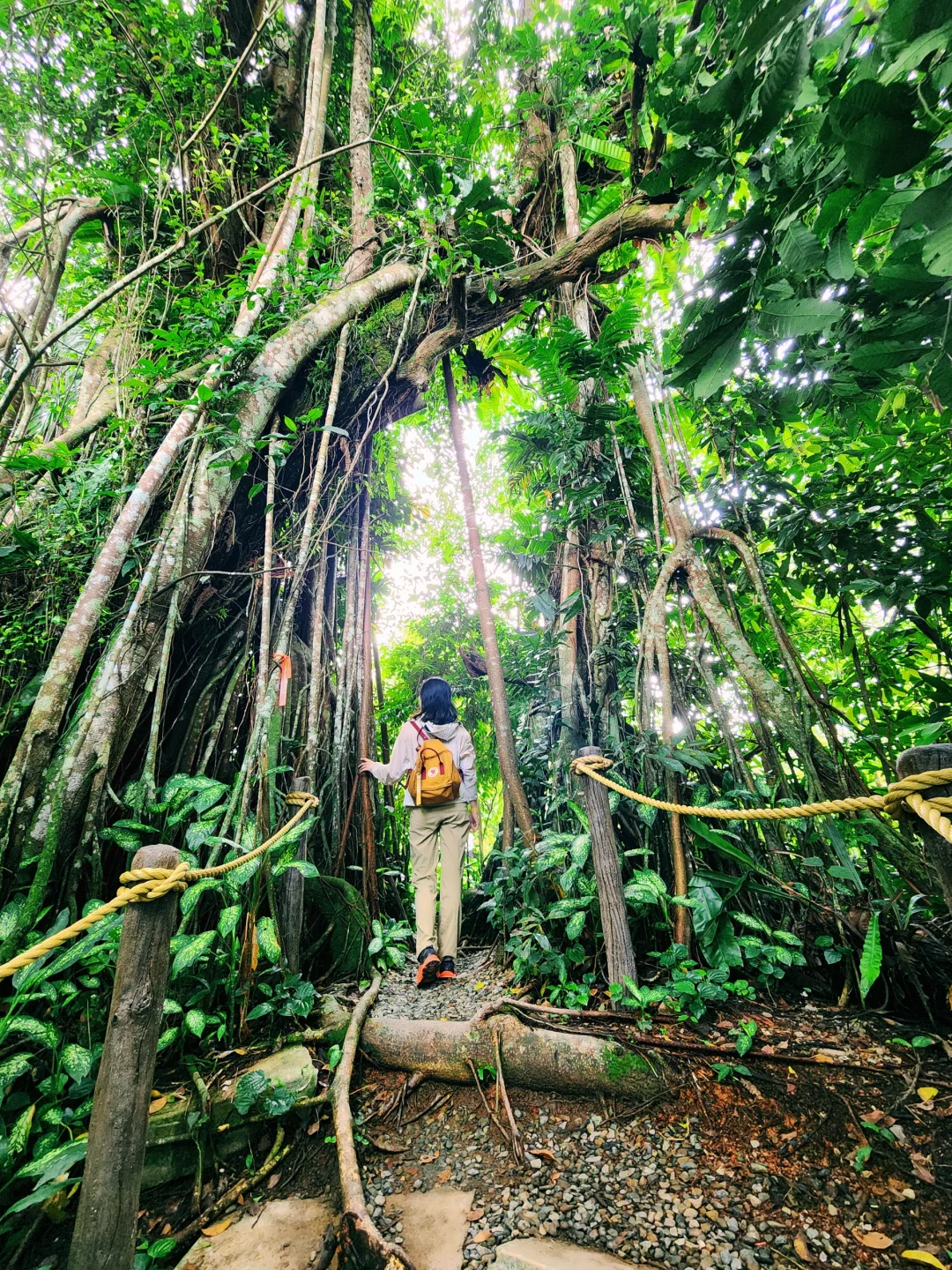 新加坡全新景点｜徒步探险！也太好拍了吧！