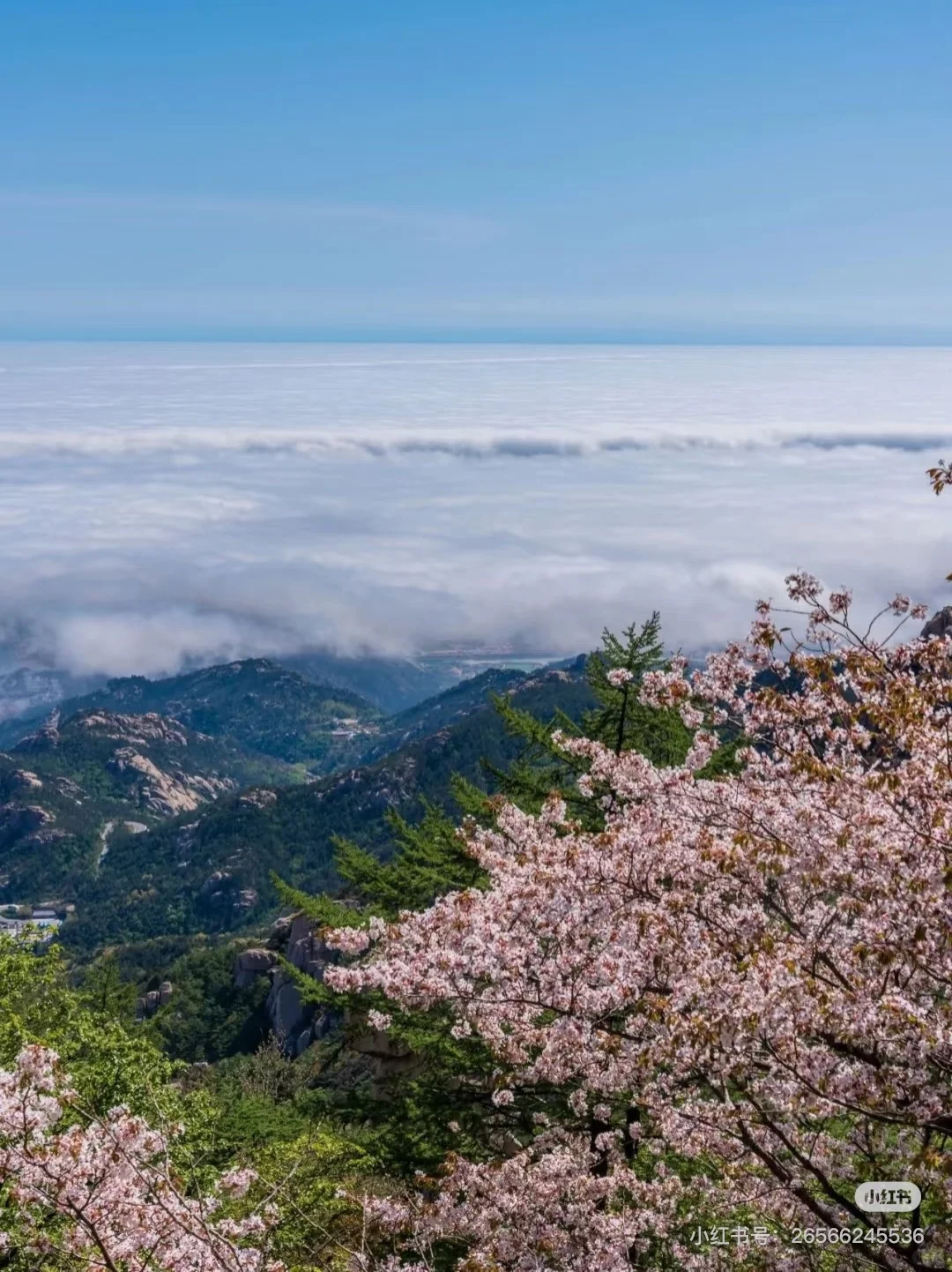 崂山景区旅游旺季防堵秘籍