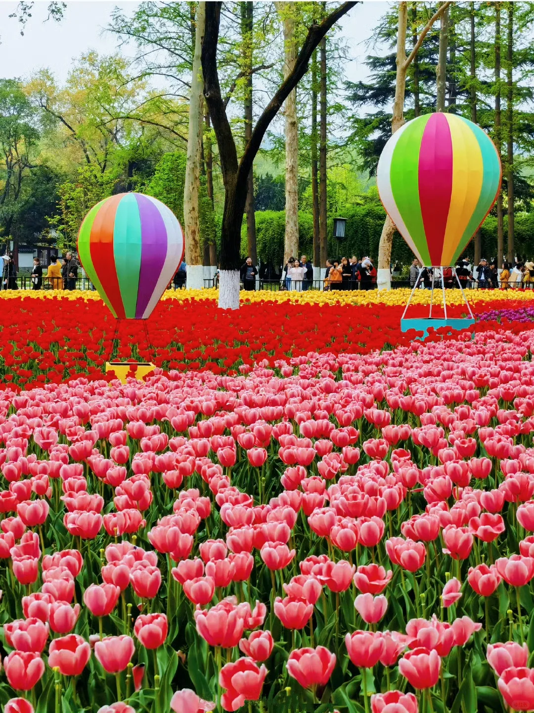 接下来！西安春天是这样的🌷含18个打卡地