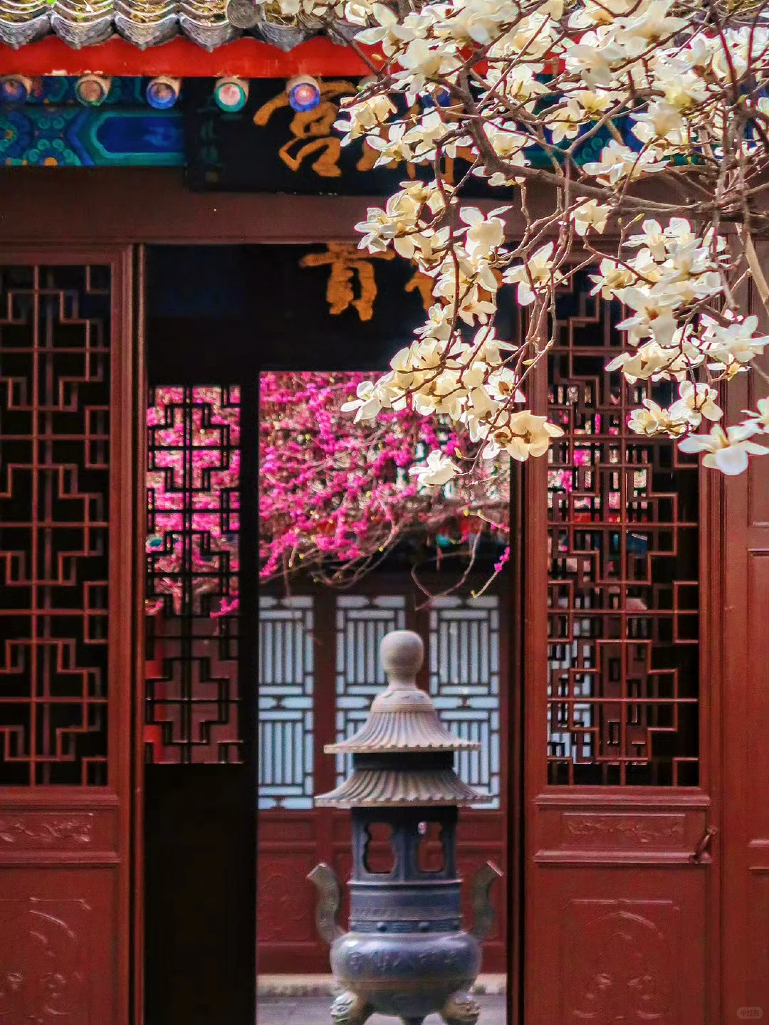 接下来！西安春天是这样的🌷含18个打卡地