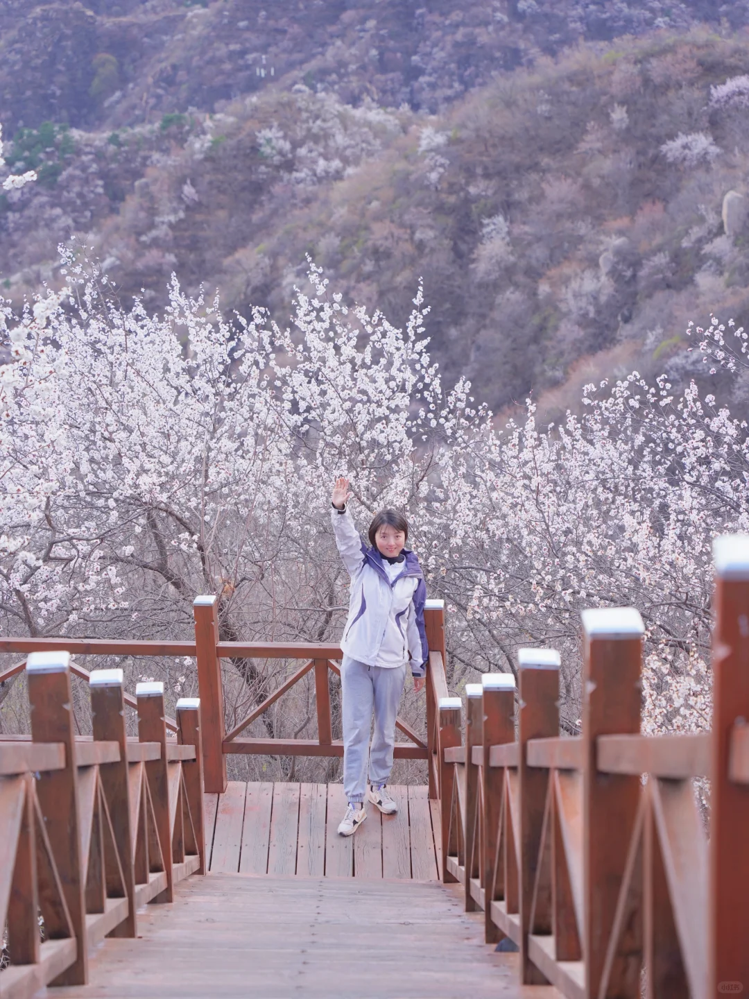 4.1实拍！京郊新开超美赏花栈道，附攻略