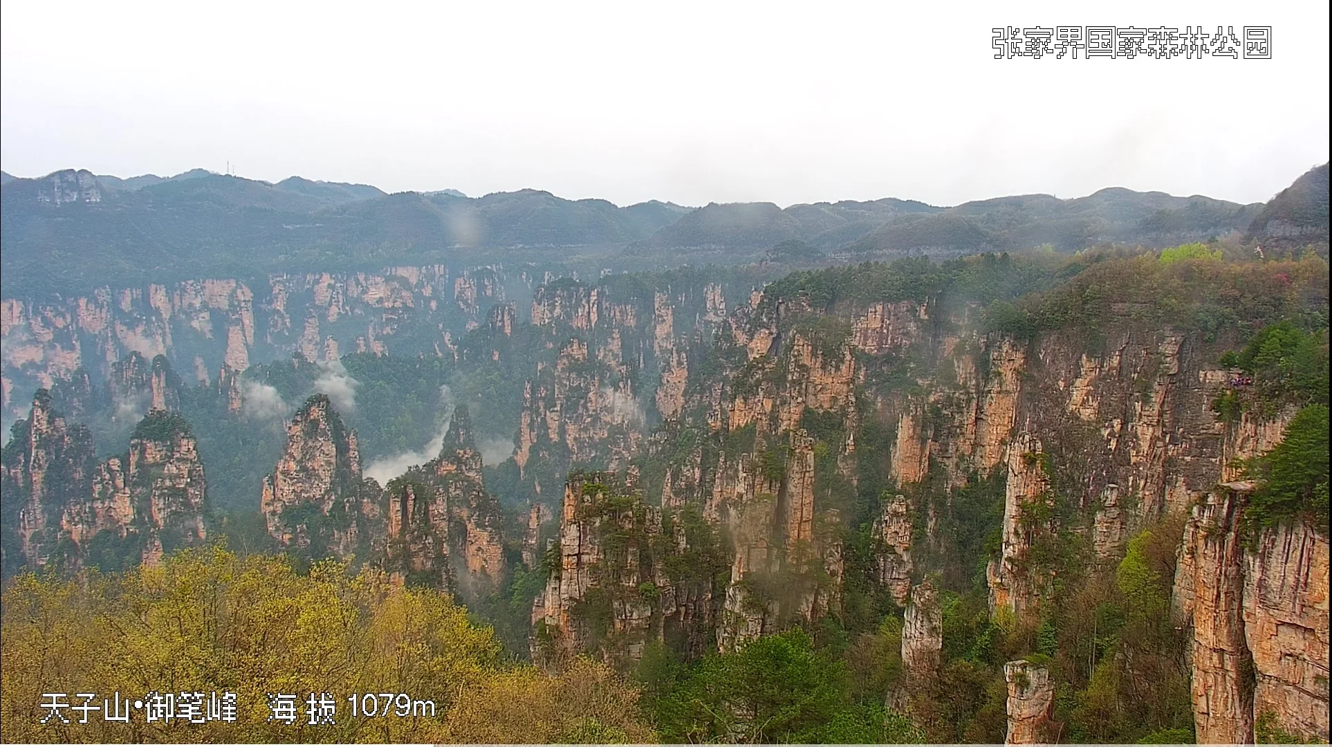 4月4号张家界景区实况