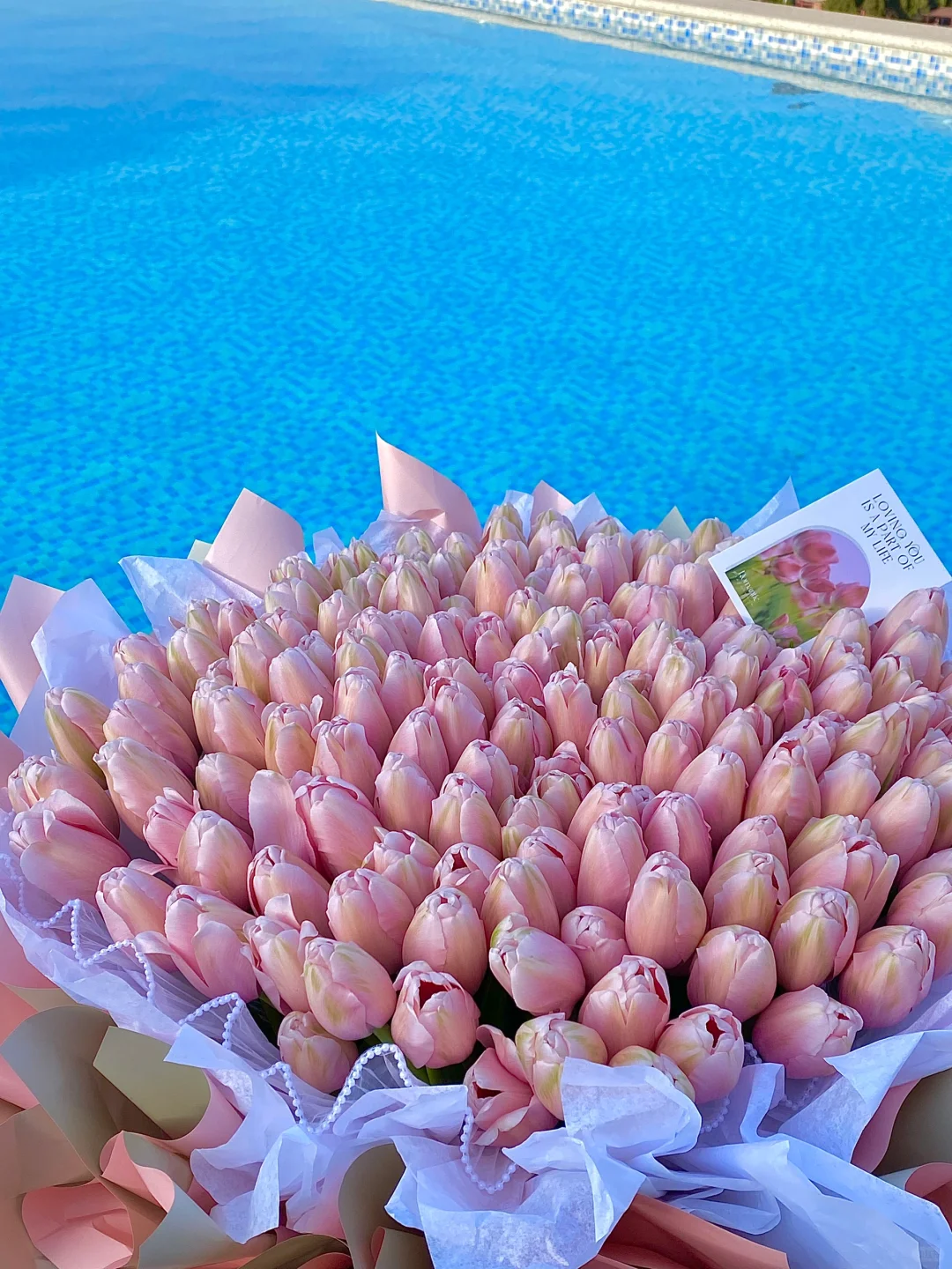 在邯郸！！春季🌷踏青周边游攻略！！