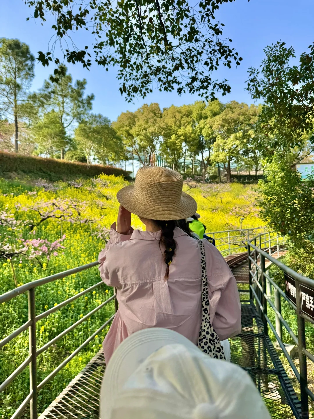 杭州出发1小时，坐上开往春天的花海小火车