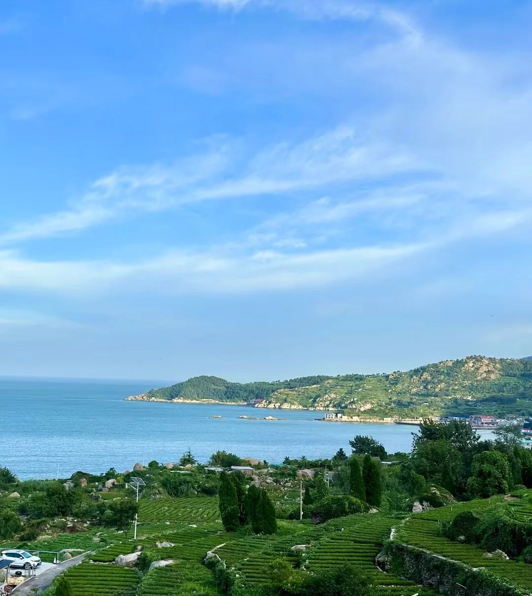 崂山景区最美环海公路一日自驾游（免费版）