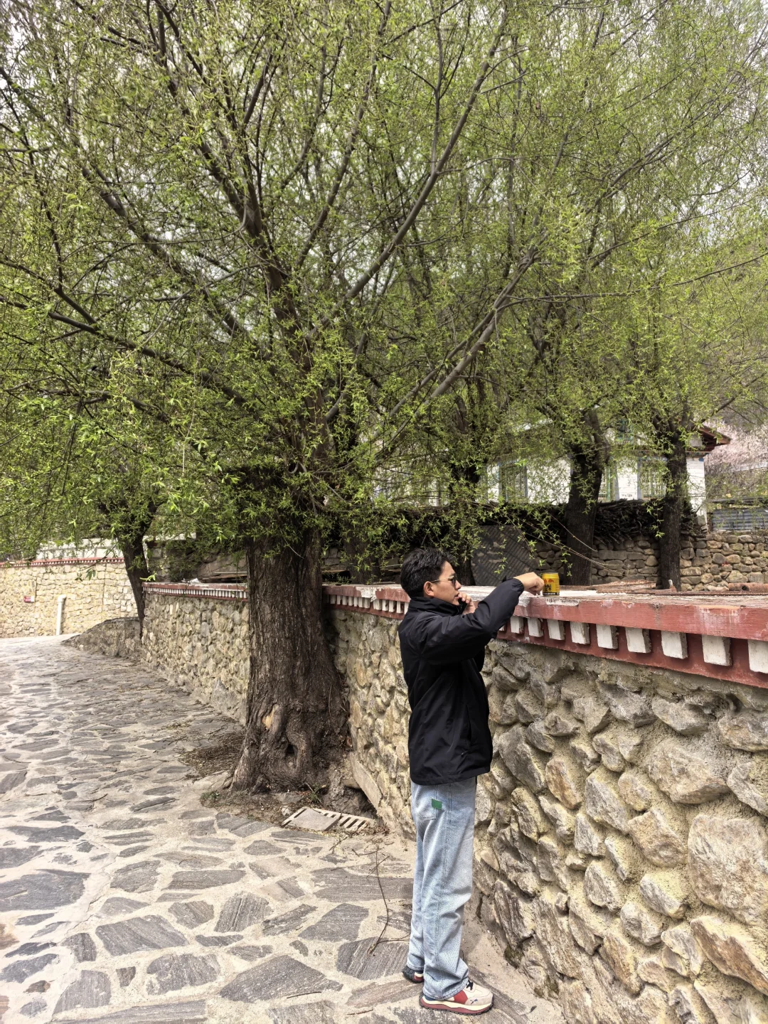 🍑林芝嘎拉桃花村 | 没进景区，却挖到宝