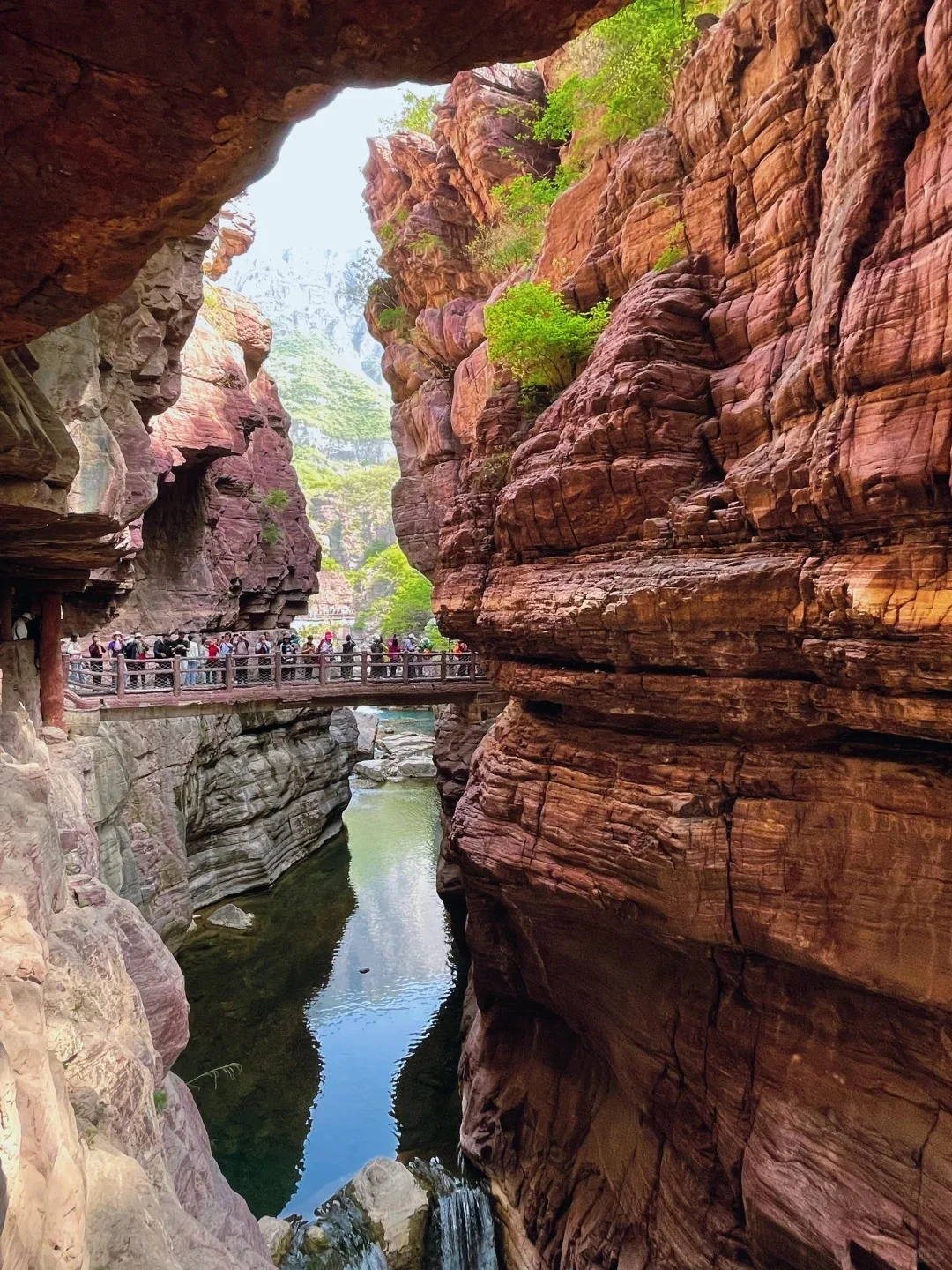 云台山免门票啦！两天一日高铁直达超方便！