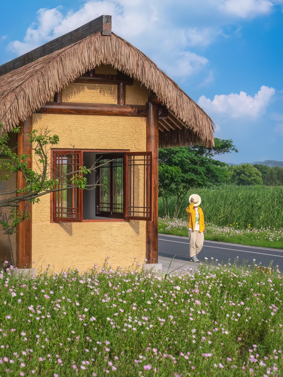 闯入莫奈花园!这大概就是油画里的春天🎨