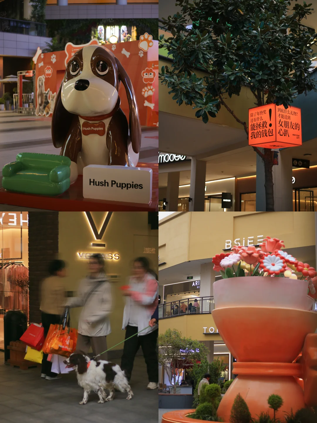 油菜花➕麦田➕风筝节🪁郑州清明踏青指南