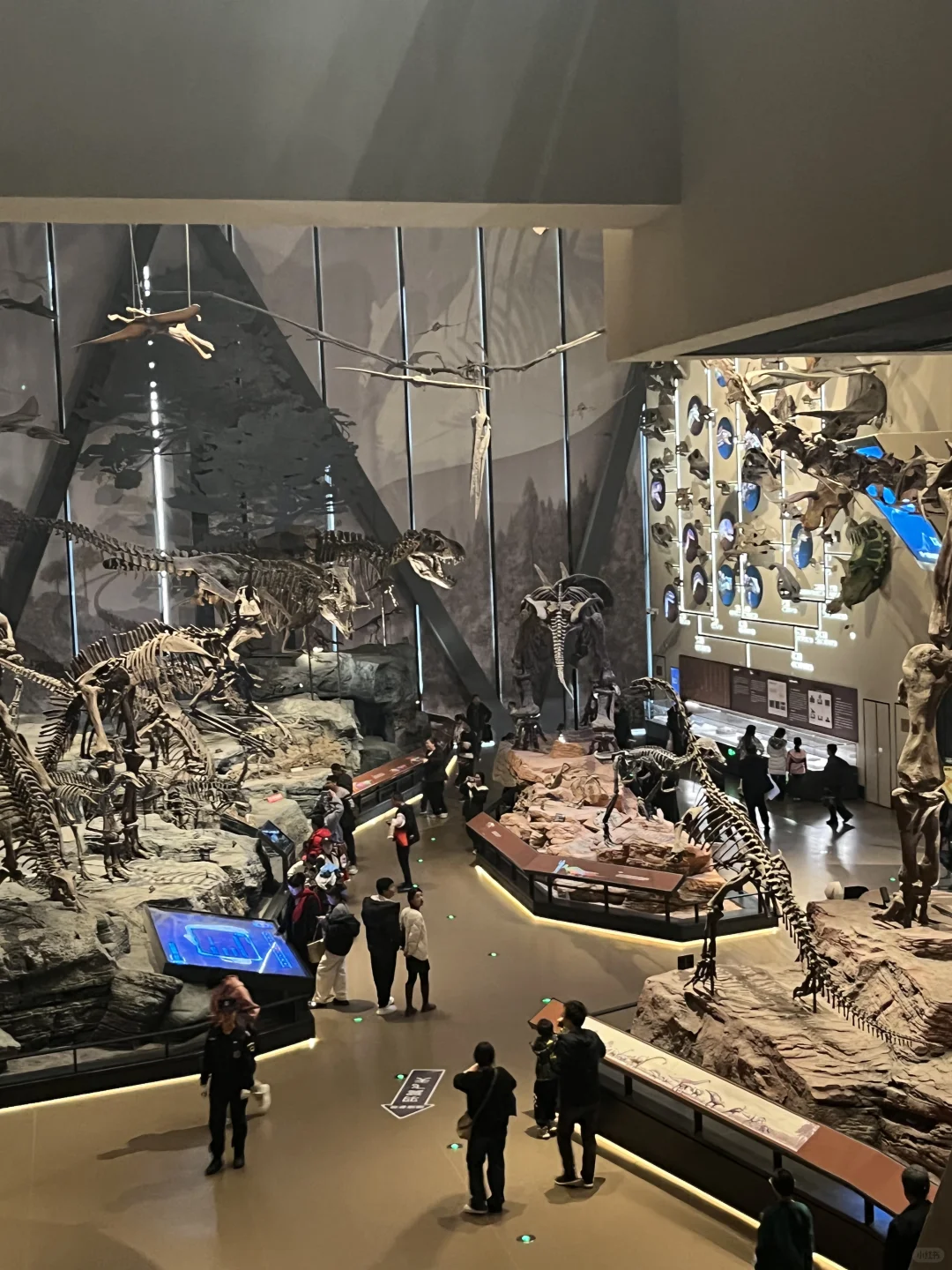 📍保定｜两天一晚特种兵详细旅游攻略🔖