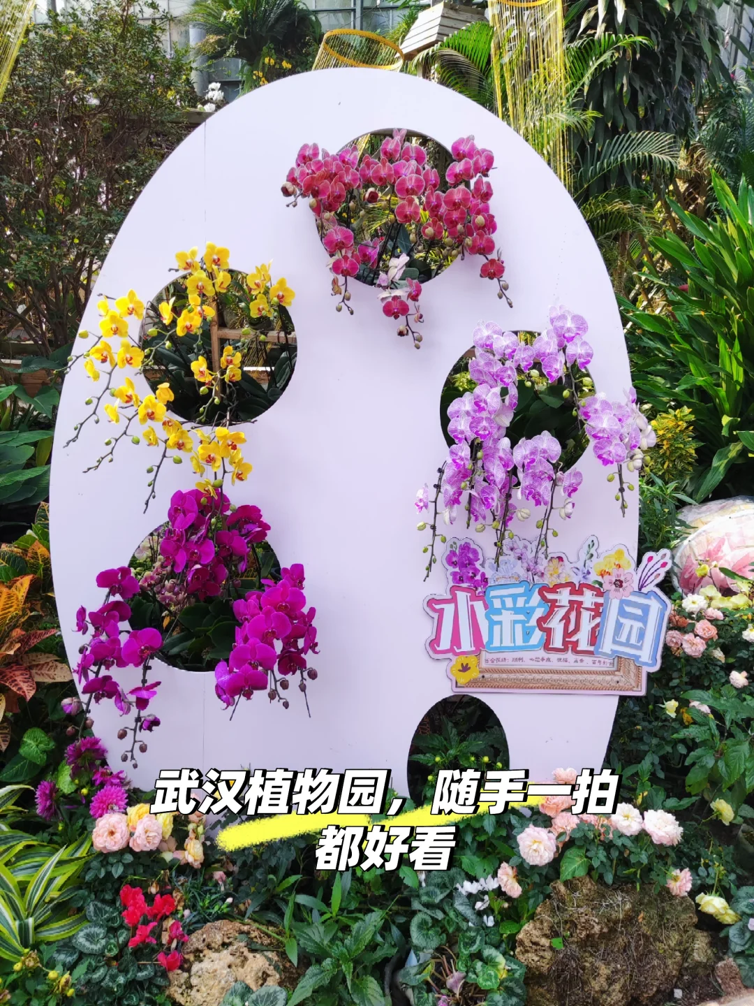 清明小长假武汉旅游攻略