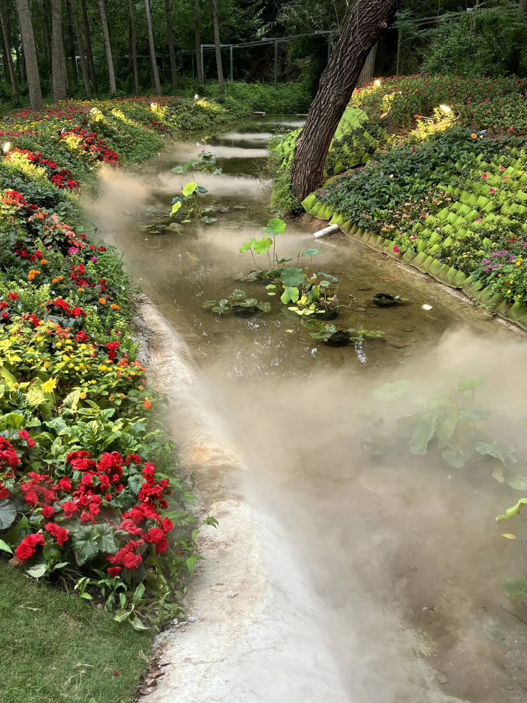 在邯郸一不小心闯进童话世界了