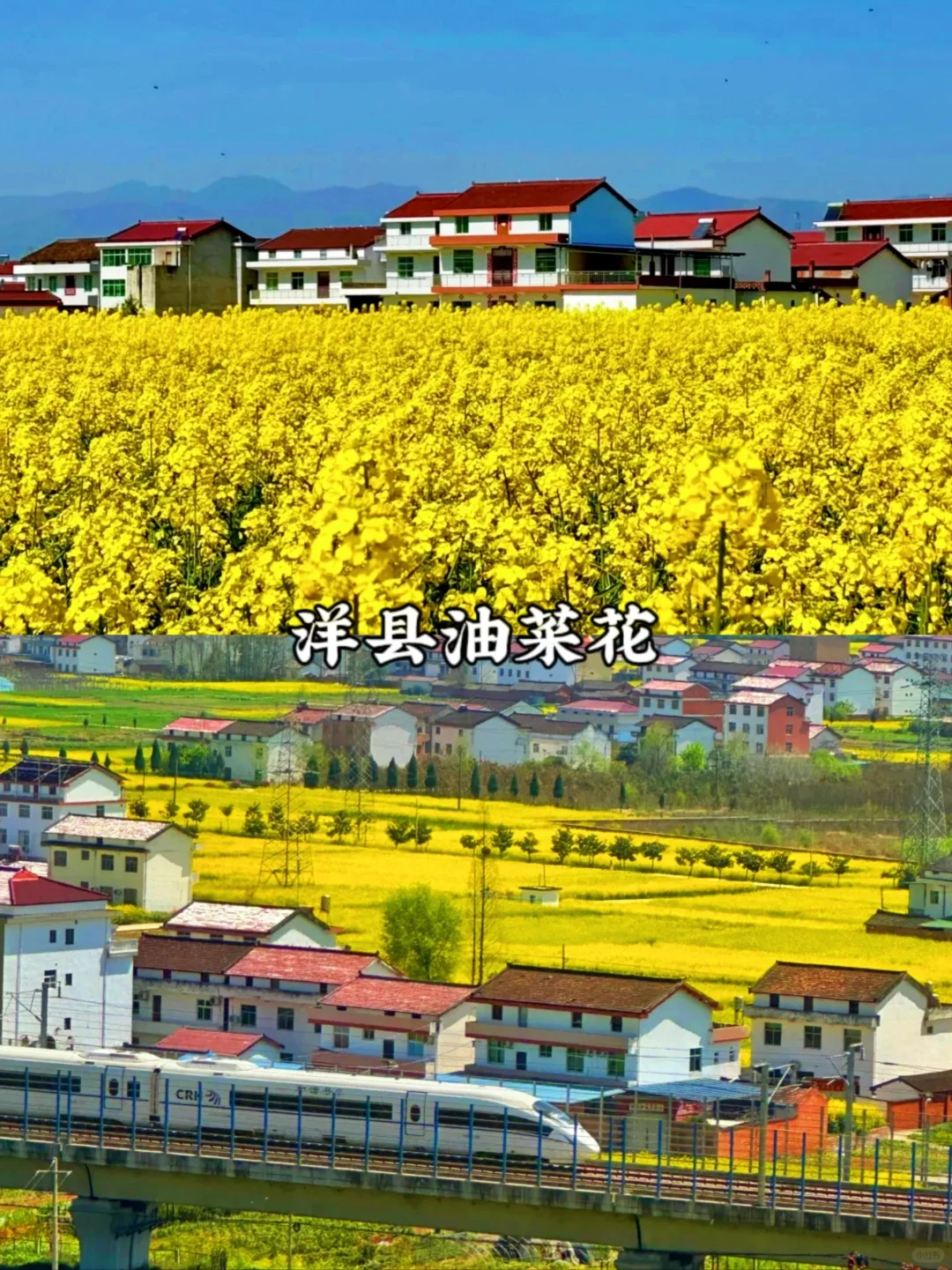 预告！清明周边游🔥西安出发1日游合集