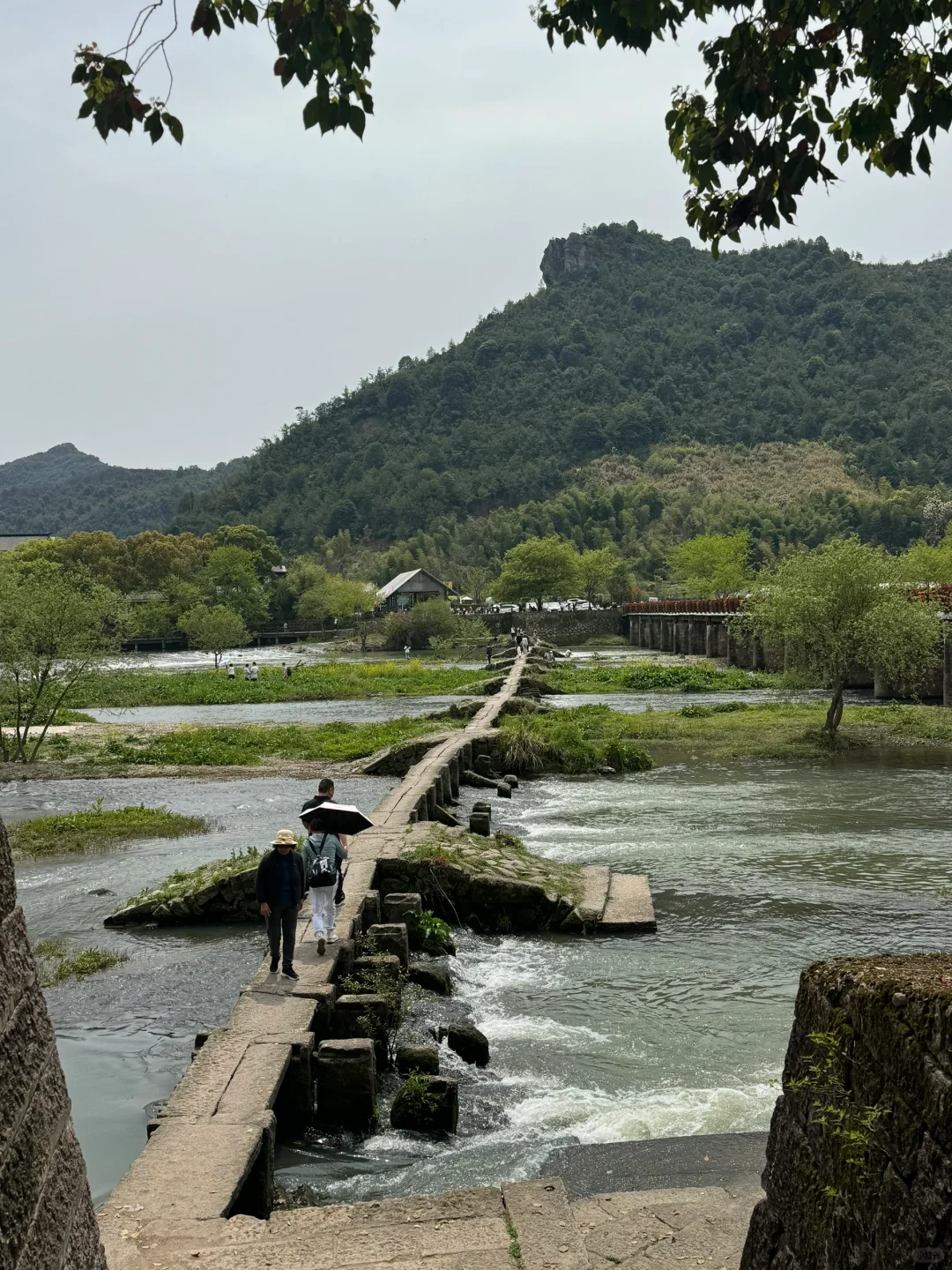 缙云仙都景区门票清明不免费