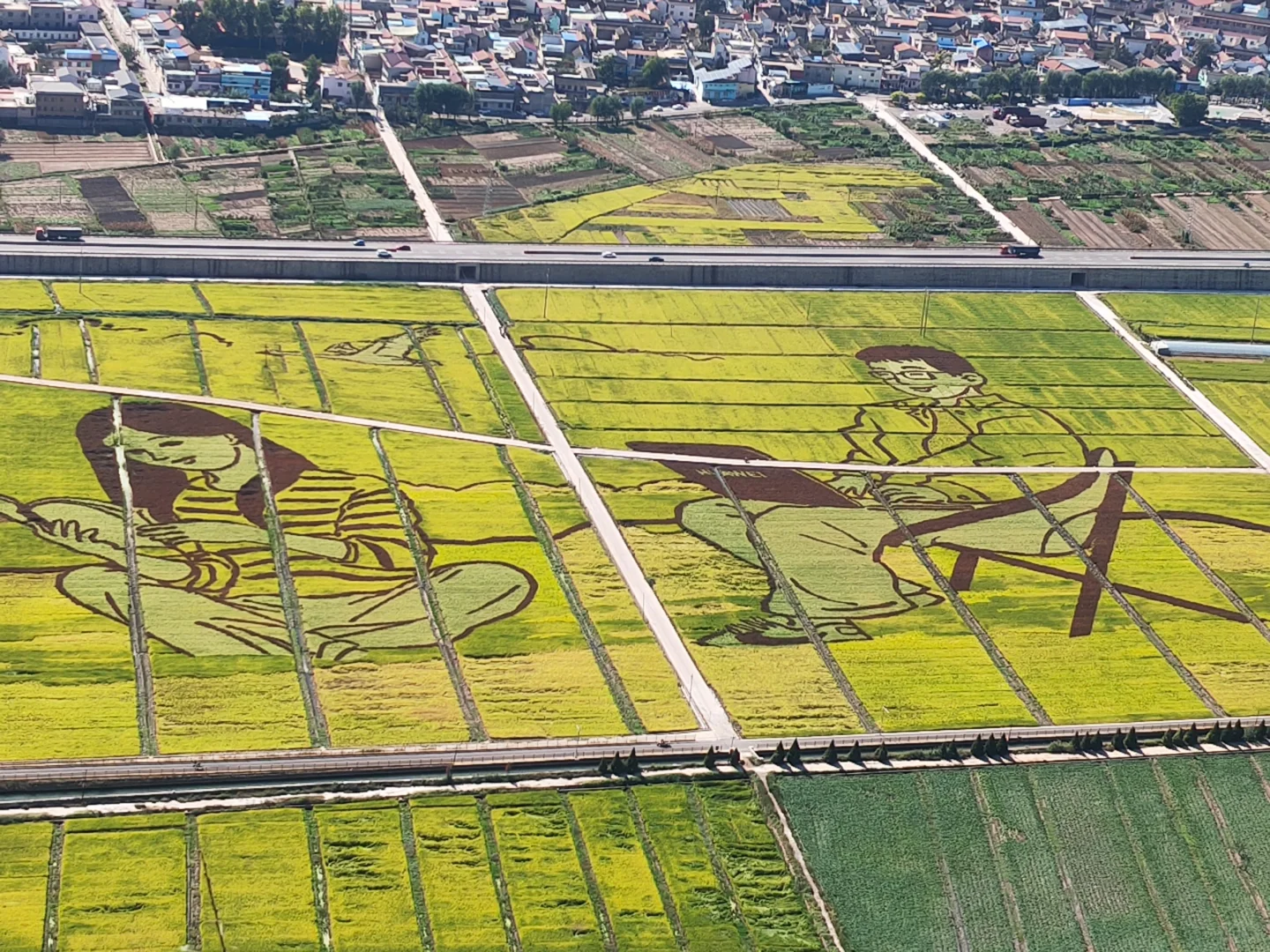 家人们,来涉县一定要来打卡韩王九寨稻田画