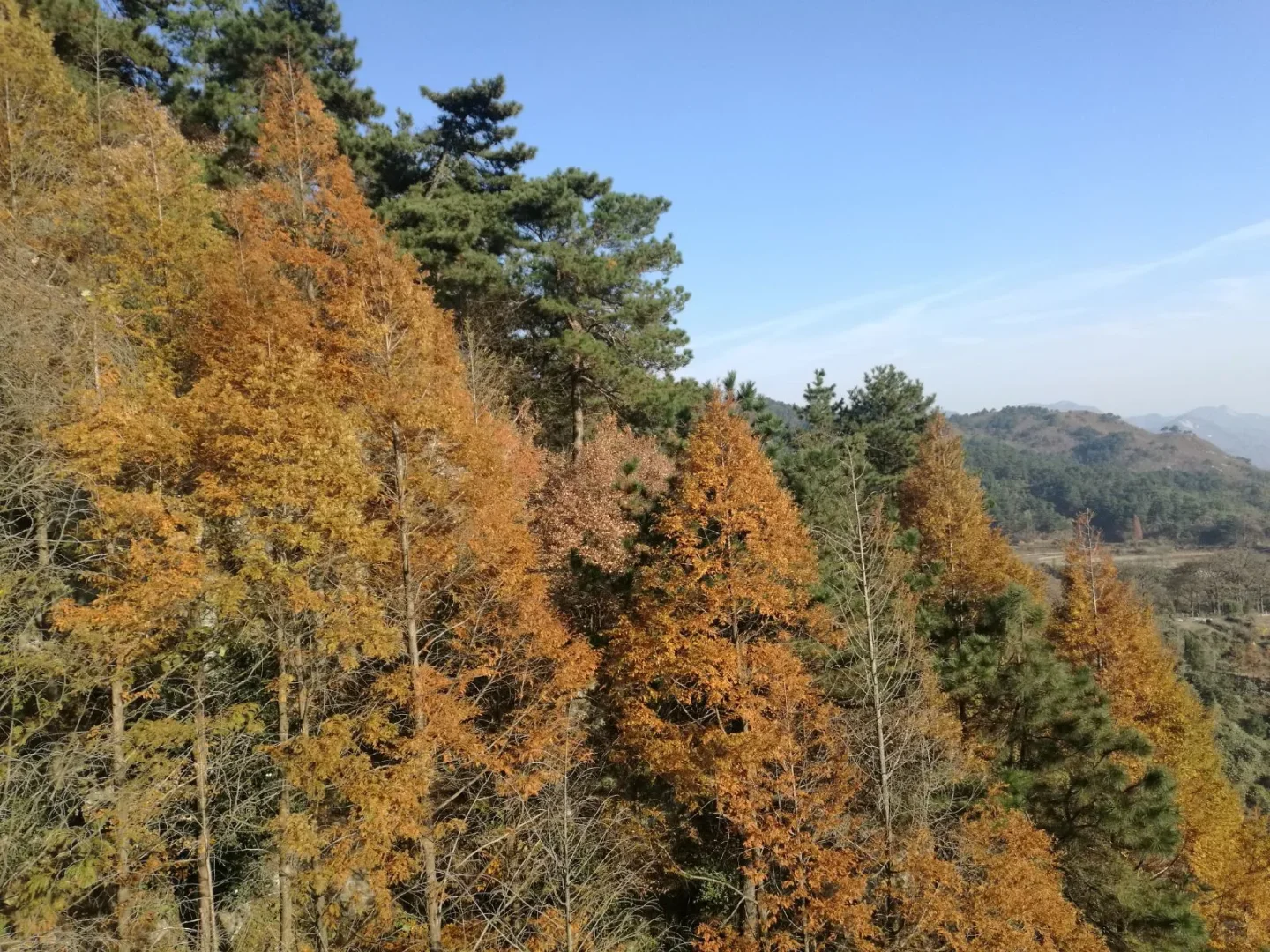 商城旅游攻略,豫南小城的宝藏之旅!