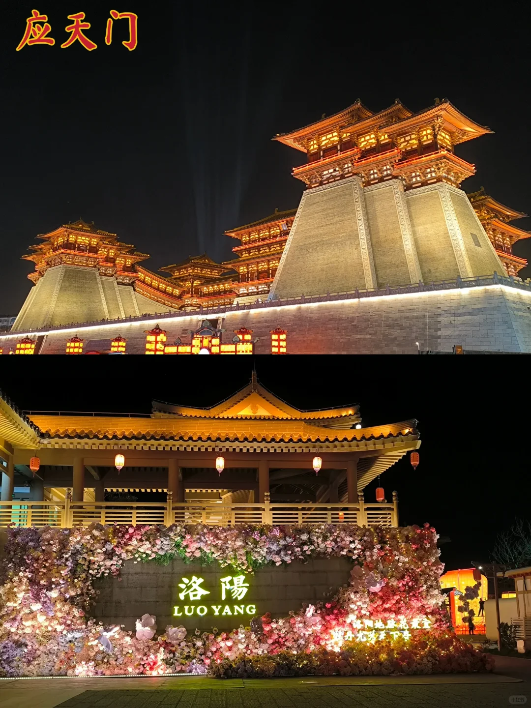 去了，不后悔！ 三天两夜洛阳旅游！