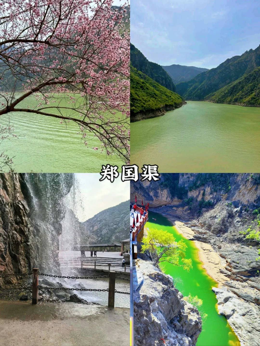 预告！清明周边游🔥西安出发1日游合集