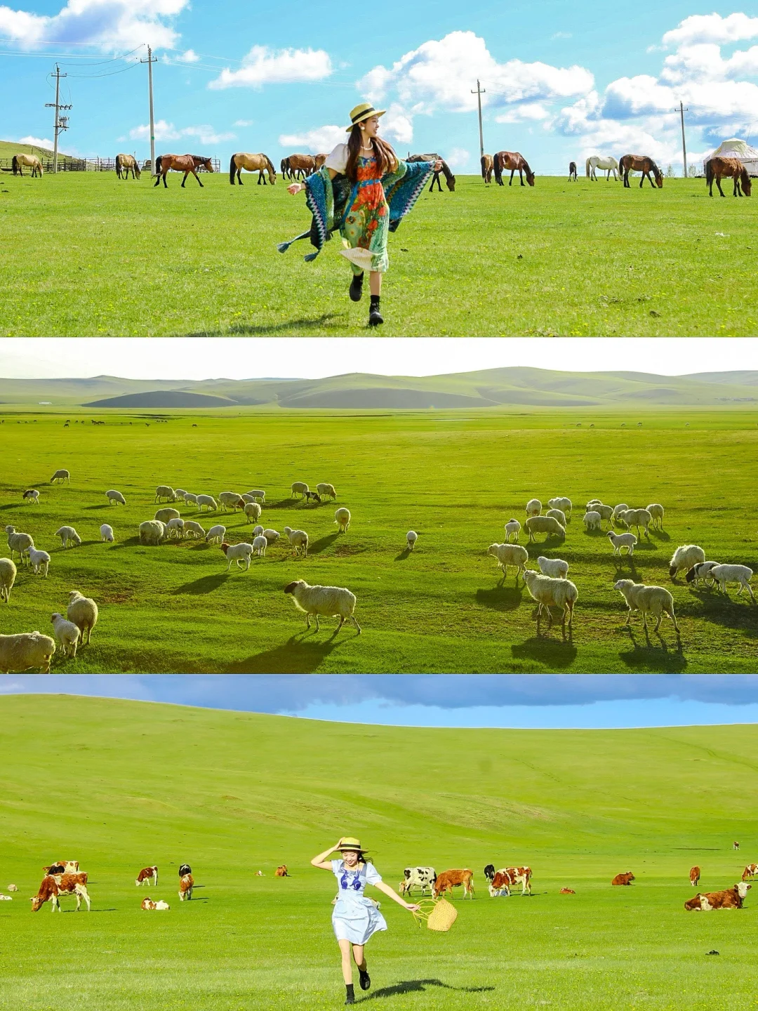 “我这一生,总有一个夏天要留给呼伦贝尔‼️”