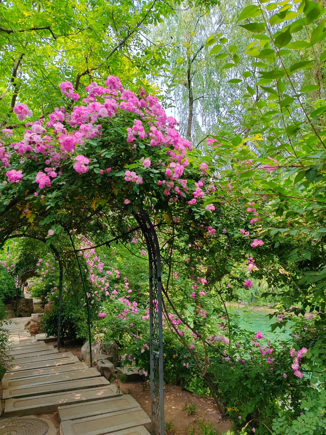 济南护城河水磨坊｜亲水栈道🌲绿意盎然