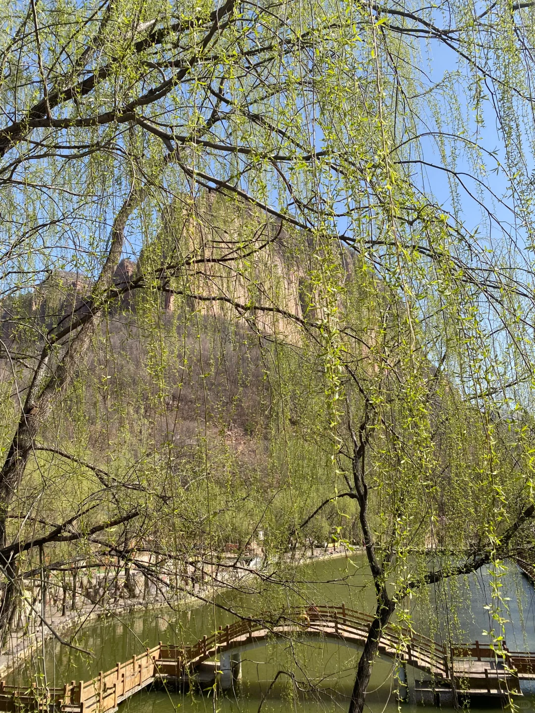 清明旅游｜解锁邯郸宝藏踏青好去处🌸