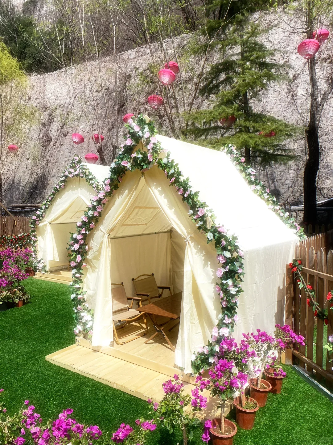 感受春天🌷🌻🌾🌿