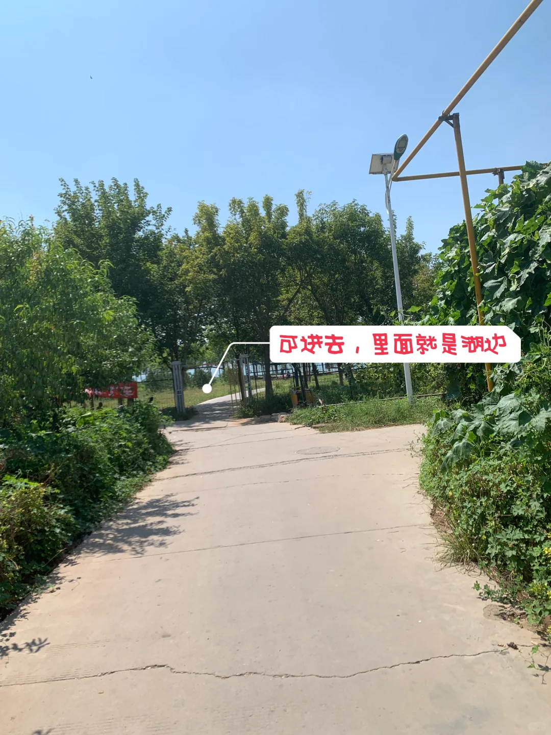 咱邯郸也有海🌊