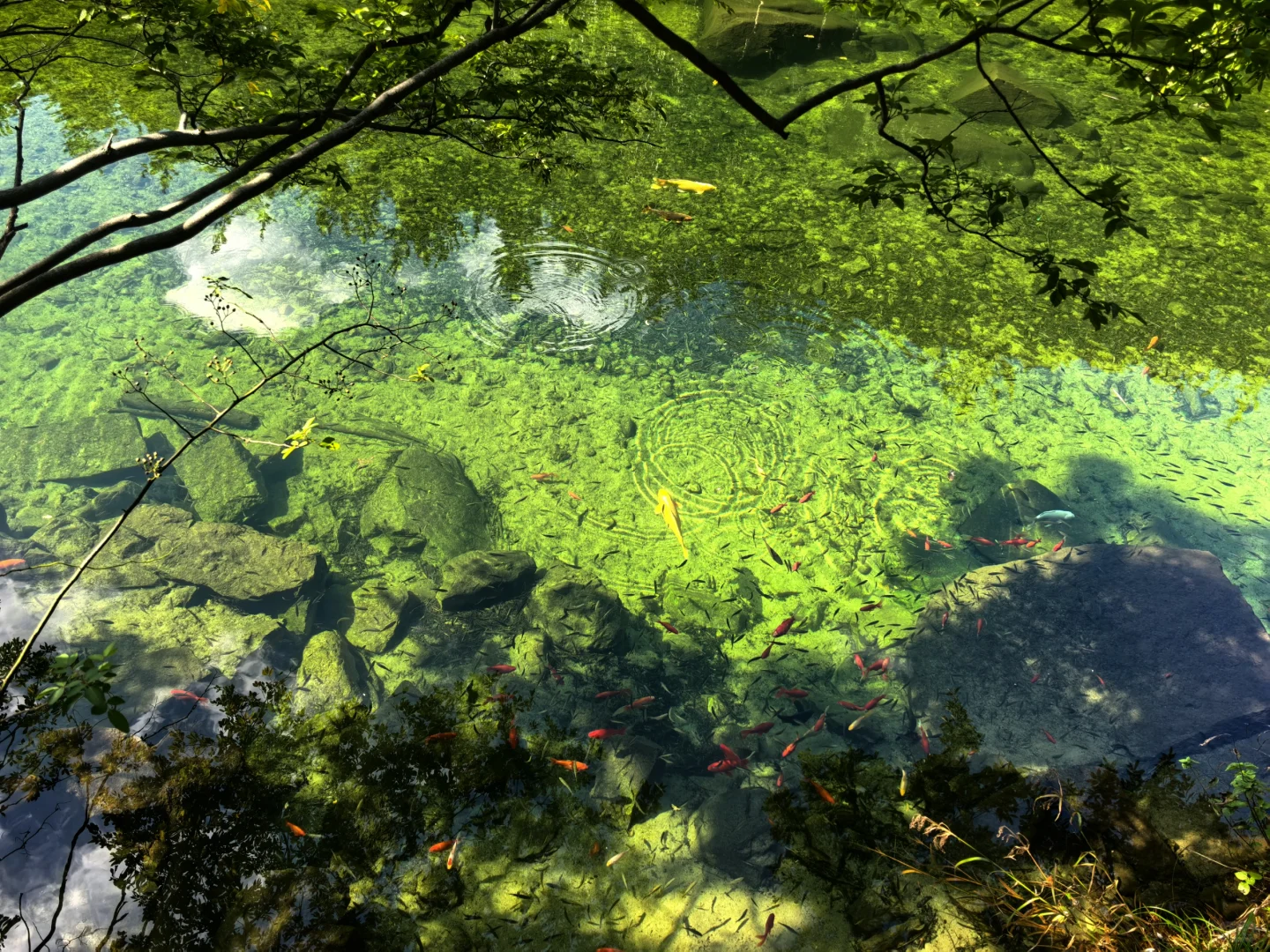 威海旅行别错过这个冷门宝藏！！