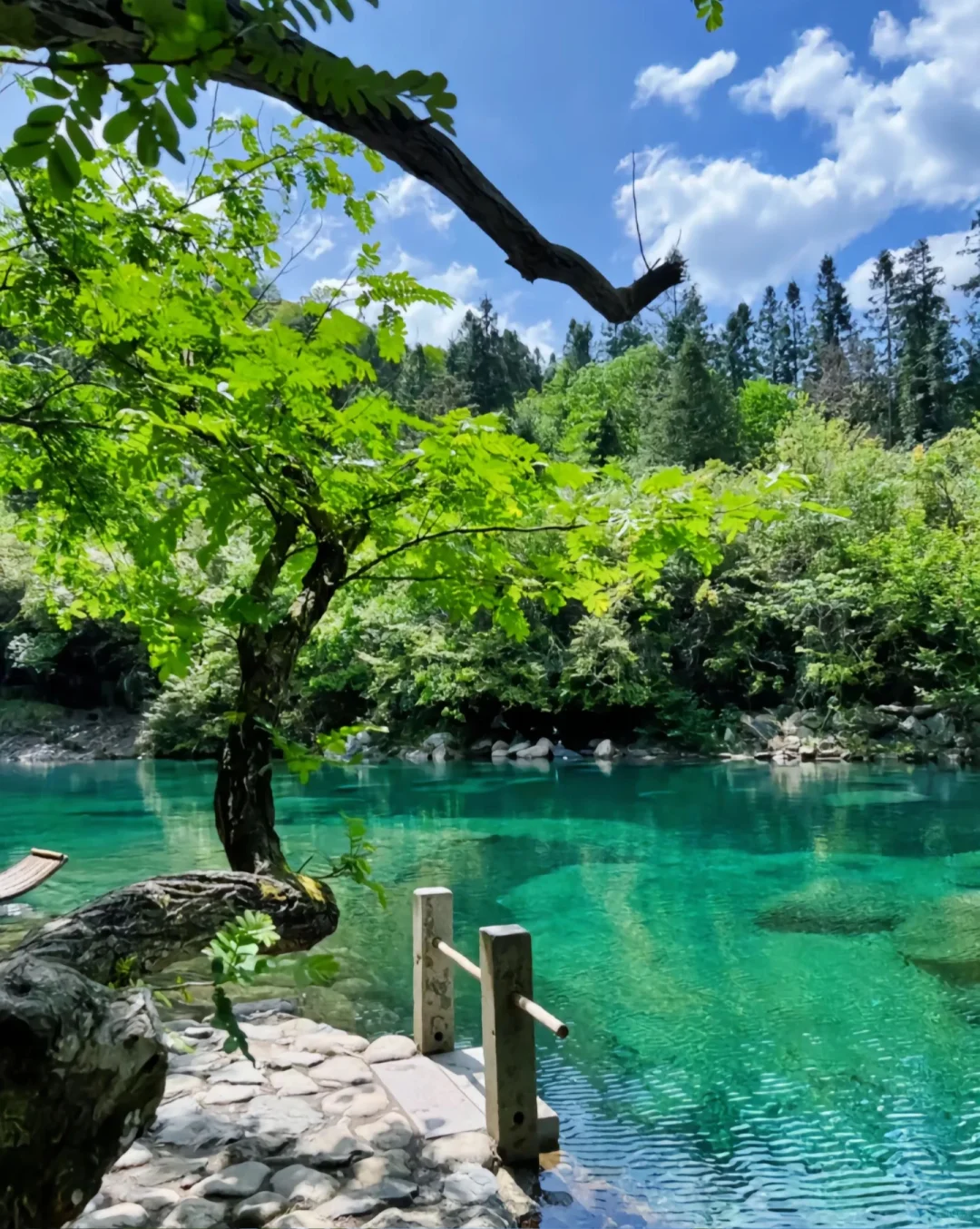 【池州石台牯牛降旅游攻略 |